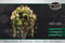 Anna's Collection - Cascade verlichting zilverdraad 400l/20x2m led...