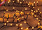 Anna's Collection Cluster Ivy Led - Verlichting - 16 m Classic Warm 700 Led