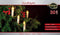 Anna's Collection Kaarsen lichtsnoer - 30 LED kaarsen - 750cm - warm wit -kerstverlichting