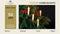 Anna's Collection Kaarsen lichtsnoer - 50 LED kaarsen - 1250cm - warm wit - kerstverlichting