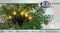 Anna's Collection Kerstverlichting - 360 warm witte leds - met timer