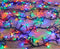 Anna's Collection Kerstverlichting - gekleurd - timer - 10 m - Voor binnen en buiten gebruik