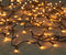 Anna's Collection - LED classic microverlichting 40 LED / 2 meter z...
