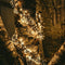 Anna's Collection Treecluster Verlichting - Kerstverlichting - 10 m Classic Warm
