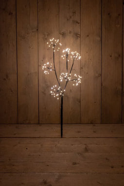 Anna's Collection - ZWARTE TAK DANDELION 60CM / 7X2OL WARM WIT5- MT...