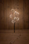 Anna's Collection - ZWARTE TAK DANDELION 60CM / 7X2OL WARM WIT5- MT...