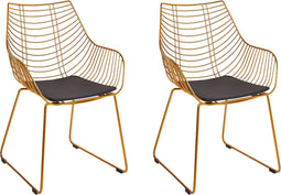 ANNAPOLIS - Eetkamerstoel set van 2 - Goud - Metaal