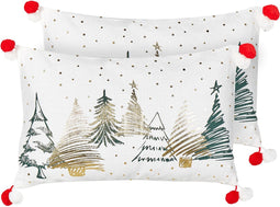 ANREDERA - Sierkussen set van 2 - Wit - Katoen