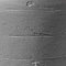Antique amphore regenton antraciet 600 liter met plantenbak