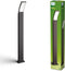 Philips Splay Post - Hoge Sokkellamp - 12W LED - Antraciet