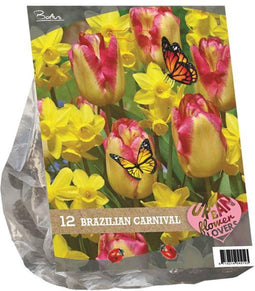 Urban Flowers - Brazilian Carnaval per 12