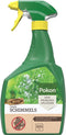 Pokon Bio Tegen Schimmels - Spray - Spuitzwavel - 800ml