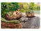 Apple Bee Cocoon Loungebank - Duurzaam - Weerbestendig - Aluminium-rattan mix