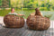 Apple Bee Loungestoel Cocoon