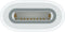 Apple USB-C to Pencil Adapter - Wit
