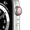 Apple Watch S6 Stainless 44mm Silver Bracelet Milanese LTE iOS