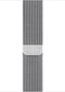 Apple Watch Series 6 Edition GPS + Cellular, 44mm Kast van Titanium, Silver Milanese Loop band