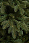 Triumph Tree Kunstkerstboom Aurora - 104x104x155 cm - PVC - Groen