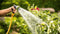 Bosch GardenPump 18V-2000 - Accuregenwaterpomp - 2000 l/h - 2.5 m aansluitslang