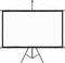 vidaXL - Projectiescherm - met - statief - 16:9 - 84''