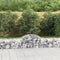 vidaXL - Schanskorven - 12 - st - gewelfd - 200x50x40/60 - cm - gegalvaniseerd - ijzer