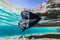 Aqua Marina Sports 3 SUP Peddel