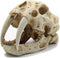 Aquarium decoratie - Tijger schedel - 23x13x16 cm