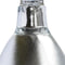 Arcadia Deep Heat Projector - Verwarming - 50 Watt