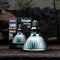 Arcadia Halogen Basking Spot - Verwarming - 50 Watt
