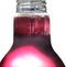 Arcadia Infrarood Warmtespot - Verwarming - 50 Watt