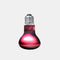 Arcadia Infrarood Warmtespot - Verwarming - 75 Watt