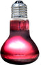 Arcadia Infrarood Warmtespot - Verwarming - 75 Watt