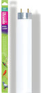 Arcadia Natural Sunlight 2% Uvb T8 60Cm 18 Watt