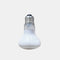 Arcadia Solar Basking Floodlight - Verwarming - 50 Watt