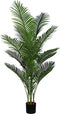 Areca palm 165 cm