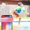 Arenti GO1 Beveiligingscamera - Voor buiten - Draadloos - Full HD - Besturing via App