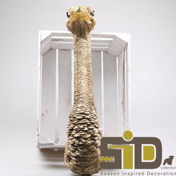 Wanddecoratie Struisvogel - Goud - Realistisch - Trend