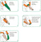 Arion Easy-Slide Aantrekhulp | Aantrekhulp Steunkousen | Schoenmaat 34 - 36