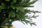 Arkansas kunstkerstboom - 152 cm - groen - Ø 114 cm - houten voet