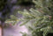 Arkansas kunstkerstboom - 213 cm - groen - Ø 142 cm - 2.846 tips - houten voet
