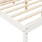 vidaXL - Seniorenbed - massief - grenenhout - wit - 120x190 - cm