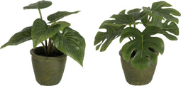 J-Line plant Philodendron - kunststof - groen - 2 stuks
