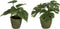 J-Line plant Philodendron - kunststof - groen - 2 stuks