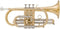 Arnolds & Sons Bb cornet gelakt ACR-655