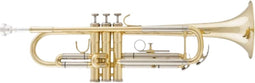 Arnolds & Sons Trompet Terra ATR-4200