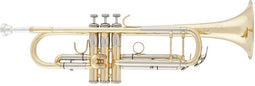 Arnolds & Sons Trompet Terra ATR-8843