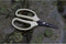 ARS Ikebana Schaar voor Bonsai en Kweker - 15.5 cm - Softgrip