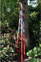 ARS Uitschuifbare Telescoopsteel - 2180-5610 mm - Lichtgewicht Aluminium - Antislip Greep - Rood/grijs