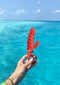G-Vibe - G-Candy Mini - Chili Coral