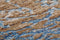Arte Espina Blaze - Vloerkleed - 115 x 170 cm - 8mm dik - Blauw/Beige - Tapijt